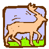 deer